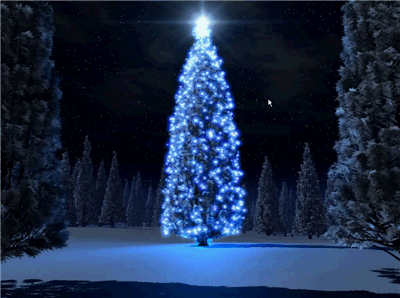 Image:Fin de año.... esperando, literalmente, un próspero 2013 para todos
